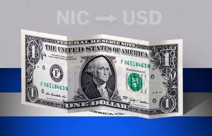 Valor de apertura del dólar en Nicaragua este 19 de junio de USD a NIO – .