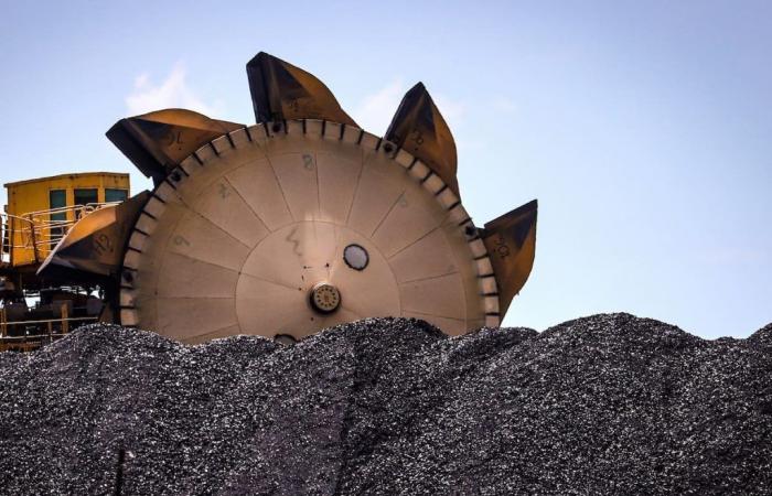 ¿Colombia violaría el TLC con Israel al prohibir las exportaciones de carbón? – .