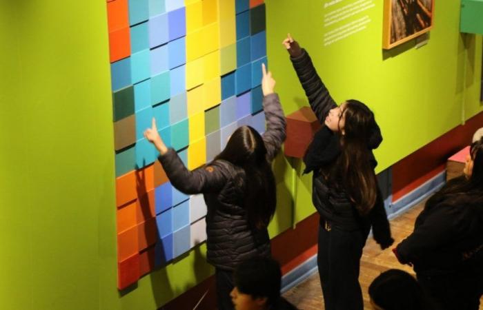 Prueba PISA demuestra que los estudiantes chilenos son los más creativos de América Latina – .