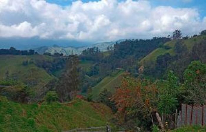 Caldas y Antioquia, unidos por el turismo, el empleo y la innovación en sus regiones – NOTICIAS – .