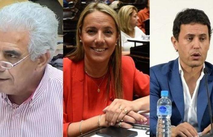 Cómo votarían Allende, Aubone y Chica la RIGI modificada en Diputados