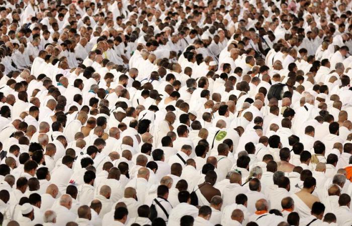 Al menos 550 personas murieron por las altas temperaturas durante la peregrinación a La Meca