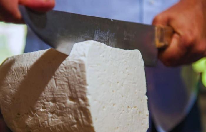 Crearon un queso que ayuda a reducir el colesterol y está enriquecido en vitaminas