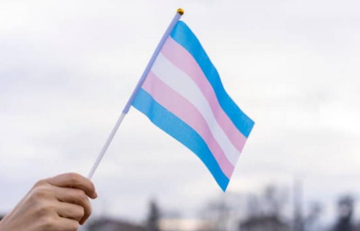 Sociedad Chilena de Pediatría apoya la terapia afirmativa y de bloqueo hormonal en niños y adolescentes trans – .