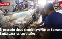 ¿Compraste pescado para Semana Santa? Estos son los precios en Cenabastos – .