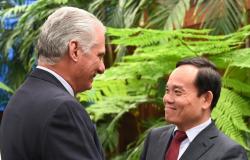 Díaz-Canel elogia ‘gestos singulares’ de Vietnam para ayudar al régimen en la actual crisis