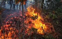 INAB utiliza sitio de la NASA para rastrear incendios forestales – .