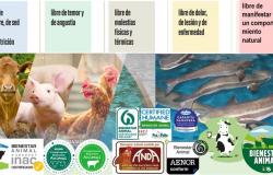 Bienestar animal, sostenibilidad, “One Health” ¡e incluso certificación! – MiradorSalud – .
