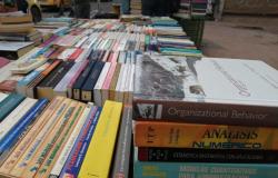 Aumentan 11% exportaciones de libros colombianos – .