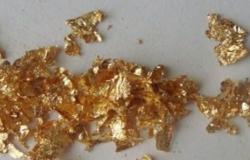 Se llama goldeno y tiene propiedades extraordinarias.