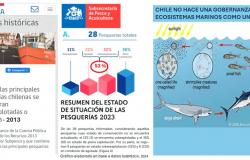 Resultados de Subpesca a 10 años de la Ley Longueira muestran que Chile profundizó la devastación de sus pesquerías y ecosistemas marinos Chile – .