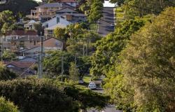 “Los suburbios y ciudades de las ‘estrellas en ascenso’ de Australia donde los precios podrían surgir”.
