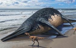 Una niña encontró una mandíbula de dos metros y ayudó a descubrir el reptil marino más grande conocido hasta la fecha.