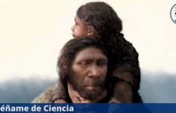 Los restos de la primera familia de neandertales acaban de revelar algo fascinante sobre nuestros antepasados ​​– Enséñame de Ciencia – .