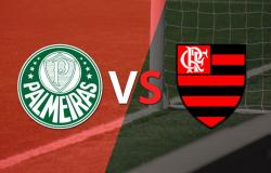 Palmeiras vs Flamengo Fecha 3 – .
