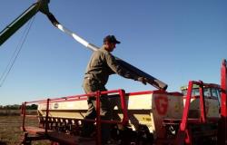 Productores analizan siembra de trigo : : Mirador Provincial : : Noticias Santa Fe