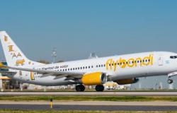 Flybondi incrementa vuelos low cost a San Pablo y llega al destino favorito de los argentinos
