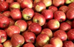 Los precios de las manzanas frescas en Ucrania son altos: ¿Ucrania recurrirá a las importaciones? • Fruta del Este – .