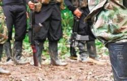 Más de 20 disidentes han sido asesinados en medio de enfrentamientos con el Ejército en el Cauca