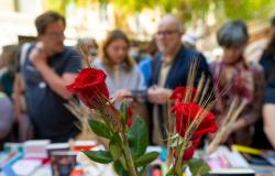 Las mejores frases y dedicatorias para celebrar Sant Jordi 2024