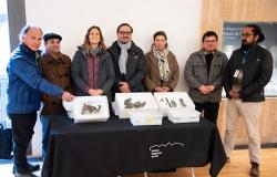 Académico de la UNAB regresó a la Región de Aysén con los nuevos fósiles de Chilesaurus – .