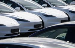 Las ganancias de Tesla caen, pero la compañía promete un modelo de automóvil más barato – .