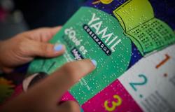 Lanzarán en la FILBO primer libro braille sobre carbono y neutralidad para niños – .