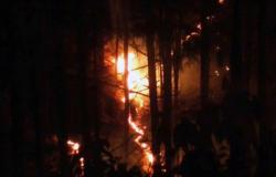 Los incendios forestales de Uttarakhand continúan sin cesar; 53 hectáreas quemadas en 24 horas, la región de Kumaon es la más afectada – .