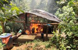 El ejército destruyó unidades mineras y laboratorios de coca en el Noreste de Antioquia
