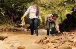 Campaña de recolección de residuos en arroyos de Antioquia – .