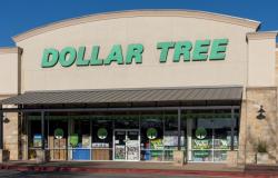Los 10 mejores artículos asequibles que llegarán a Dollar Tree en 2024