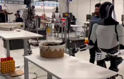 Optimus, el robot humanoide de Elon Musk, saldrá a la venta en 2025 – .