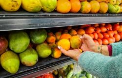 Colombia entró en la lista de países con inseguridad alimentaria