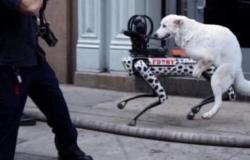 La foto viral de un perro follándose a un perro robot lamentablemente es falsa