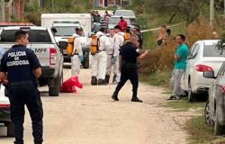La mujer acusada de matar a sus dos hijos discapacitados en Córdoba fue trasladada a un hospital neuropsiquiátrico