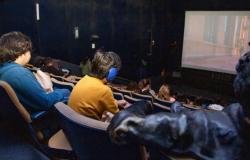 Vuelven las proyecciones de cine relajado en el Cineclub Municipal – Noticias – Diversidad – .