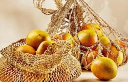 Conozca las más de ocho frutas tropicales antioqueñas que conquistan el mundo