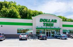 Evite estos 8 productos para el hogar en Dollar Tree durante la primavera