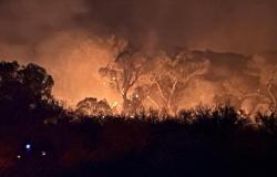 Un hombre muere al intentar sofocar un incendio forestal en el condado de Cochise.