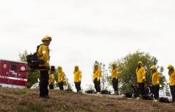 Simulacro anual de preparación del equipo de bomberos realizado por Cal Fire NEU –.