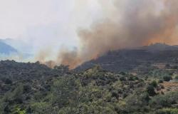 La falta de aviones en Chipre quedó al descubierto durante el incendio de Limassol