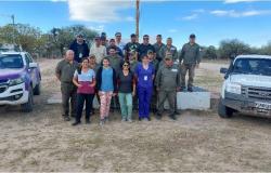 San Luis, Córdoba y La Rioja realizaron operativo para detectar y controlar Chagas