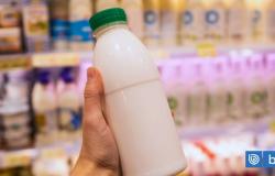 ¿Es mejor consumir lácteos bajos en grasa? Esto es lo que dicen los expertos al respecto