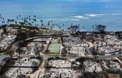 Mujer de Maui que perdió su casa en un incendio no pudo encontrar alquiler y se mudó a Florida – .