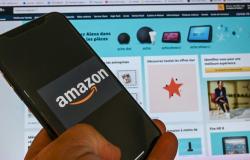 Dollar Tree: la reventa de artículos de tiendas de bajo costo en Amazon genera controversia