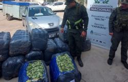 Tenía 14 bolsas de hojas de coca escondidas en un trailer en Salta