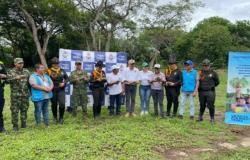 Rescatan y liberan 300 tortugas en Arauca y Casanare