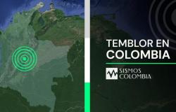 Fuerte temblor en Colombia hoy 26-04-2024 en Medina – .