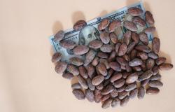 ¿Cuándo bajará el precio del cacao? – .