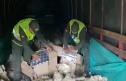 en Nariño decomisaron 1.700 perfumes de contrabando que se dirigían a Ecuador